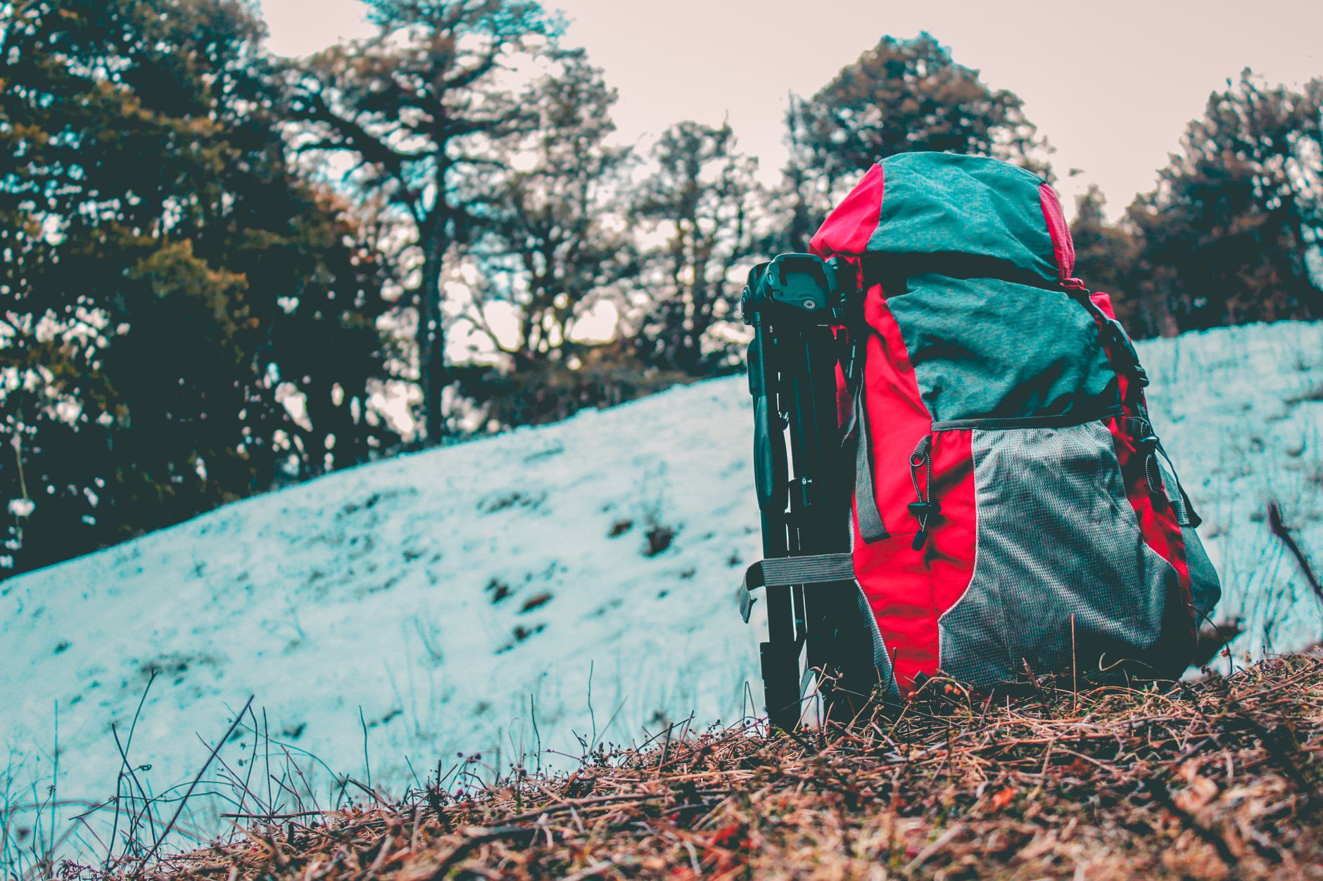 Meenmutty Falls Trek: A Complete Do’s and Don’ts Guide