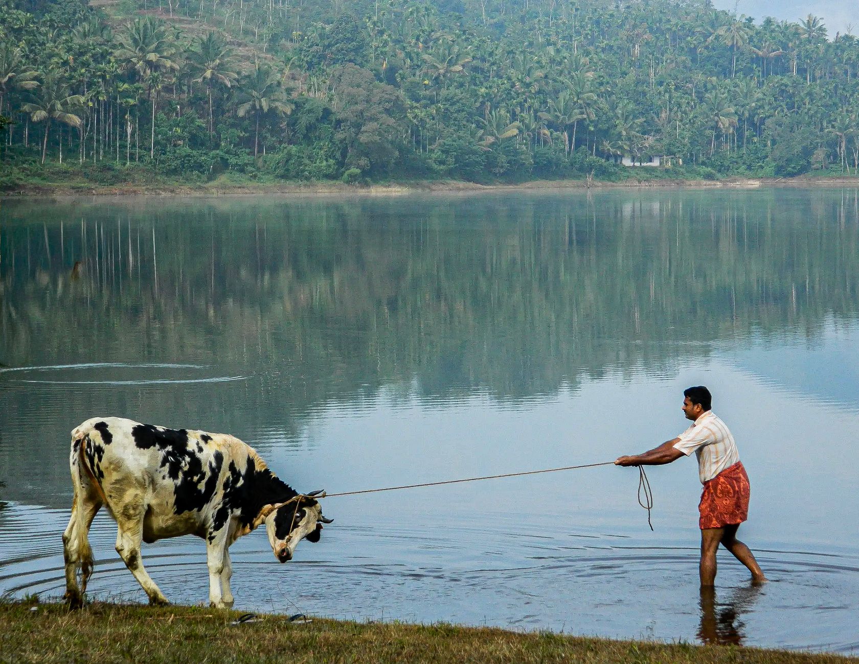 Pookode Lake: A Peaceful Half-Day Wayanad Itinerary