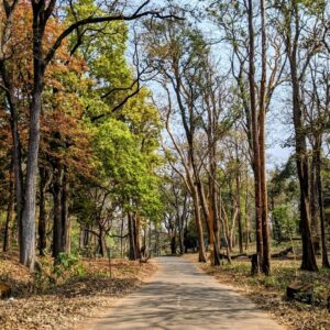 Kuruva Island: Boating, Bamboo Rafting and What to Pack