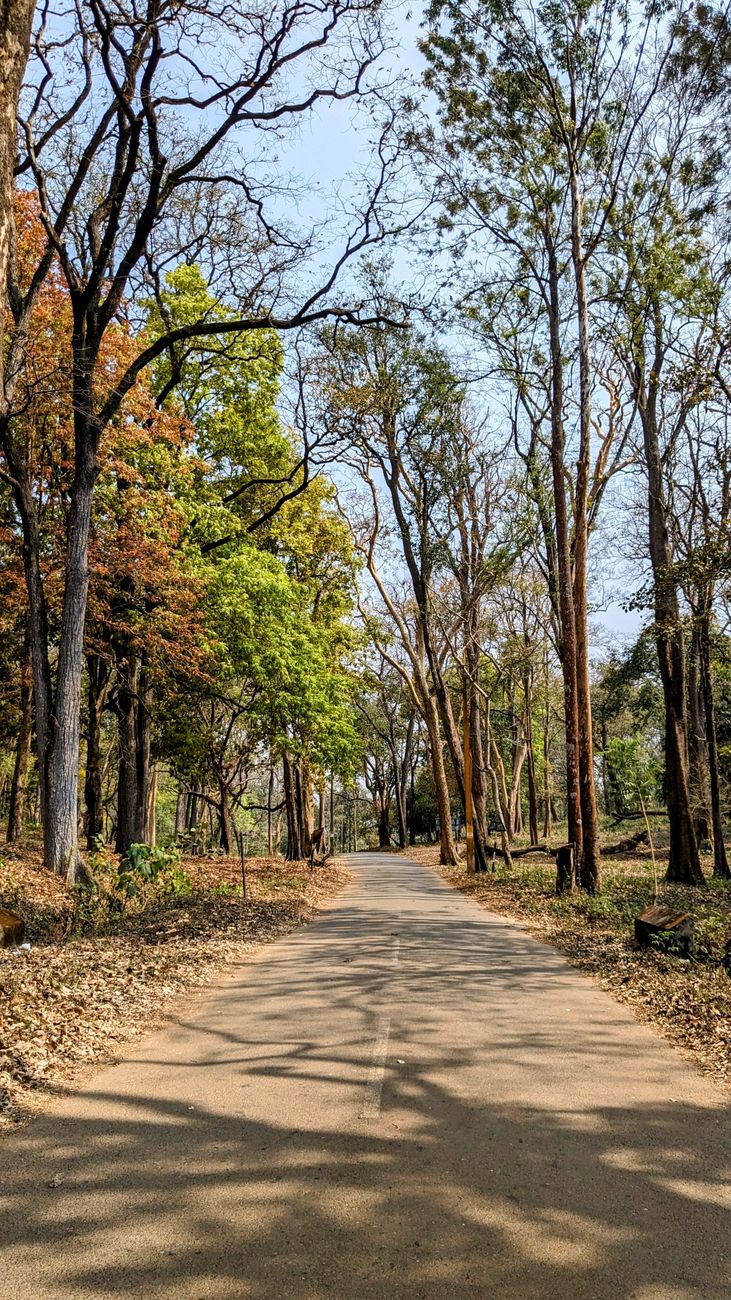 Kuruva Island: Boating, Bamboo Rafting and What to Pack