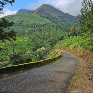 Muthanga Wildlife Sanctuary: Jeep Safari Tips for Spotting Elephants