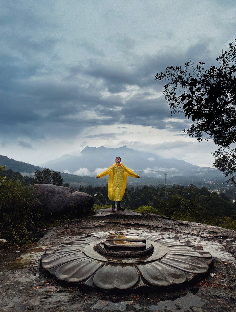 Wayanad in Monsoon: Should You Visit? Honest Pros and Cons