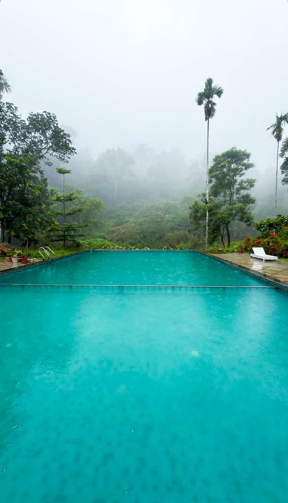 RES21 - Riverside Hill Retreat — Meppadi, Wayanad - Image 8