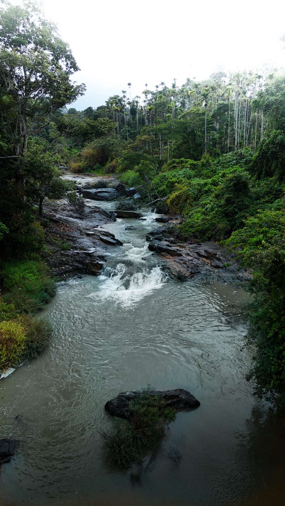 RES21 - Riverside Hill Retreat — Meppadi, Wayanad - Image 6