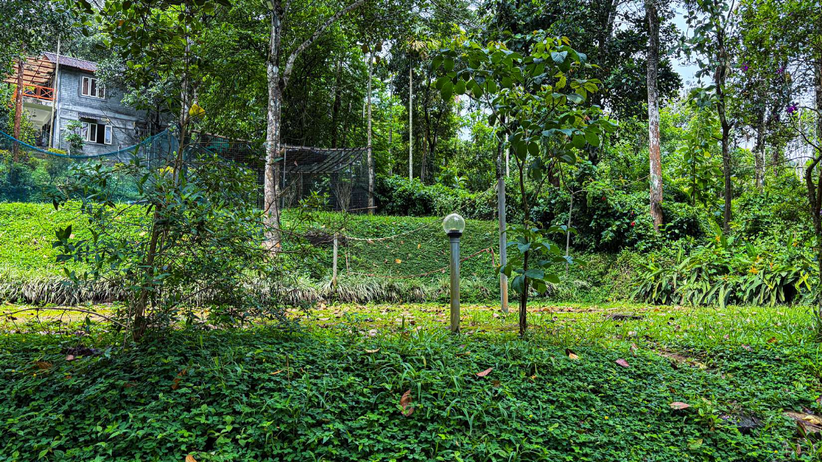 RES21 - Riverside Hill Retreat — Meppadi, Wayanad - Image 10