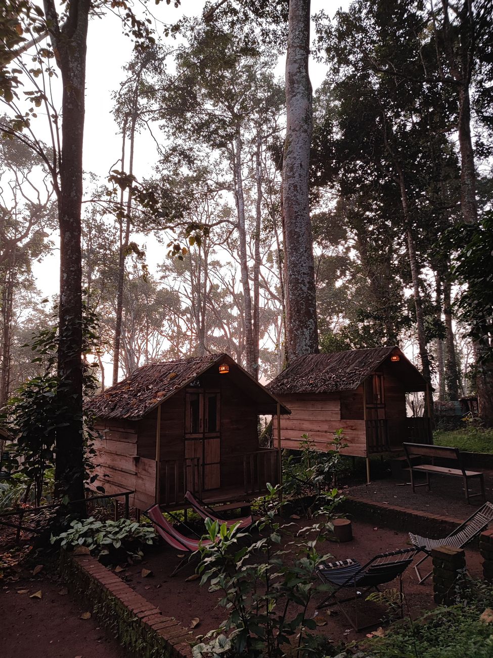 Homestays vs Resorts in Wayanad: Which Should You Choose?