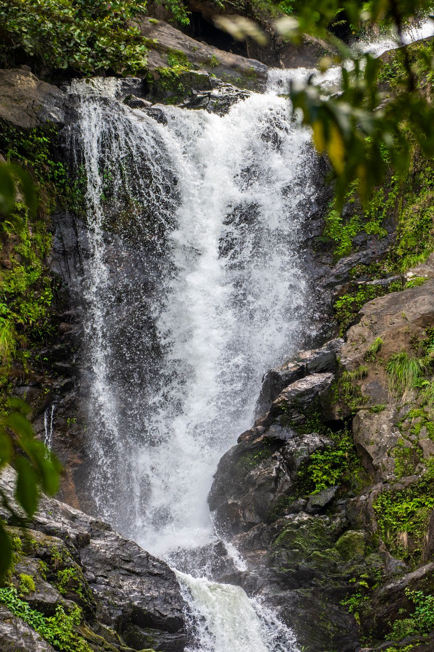 Wayanad Waterfalls Guide: Which Ones Are Worth the Trek