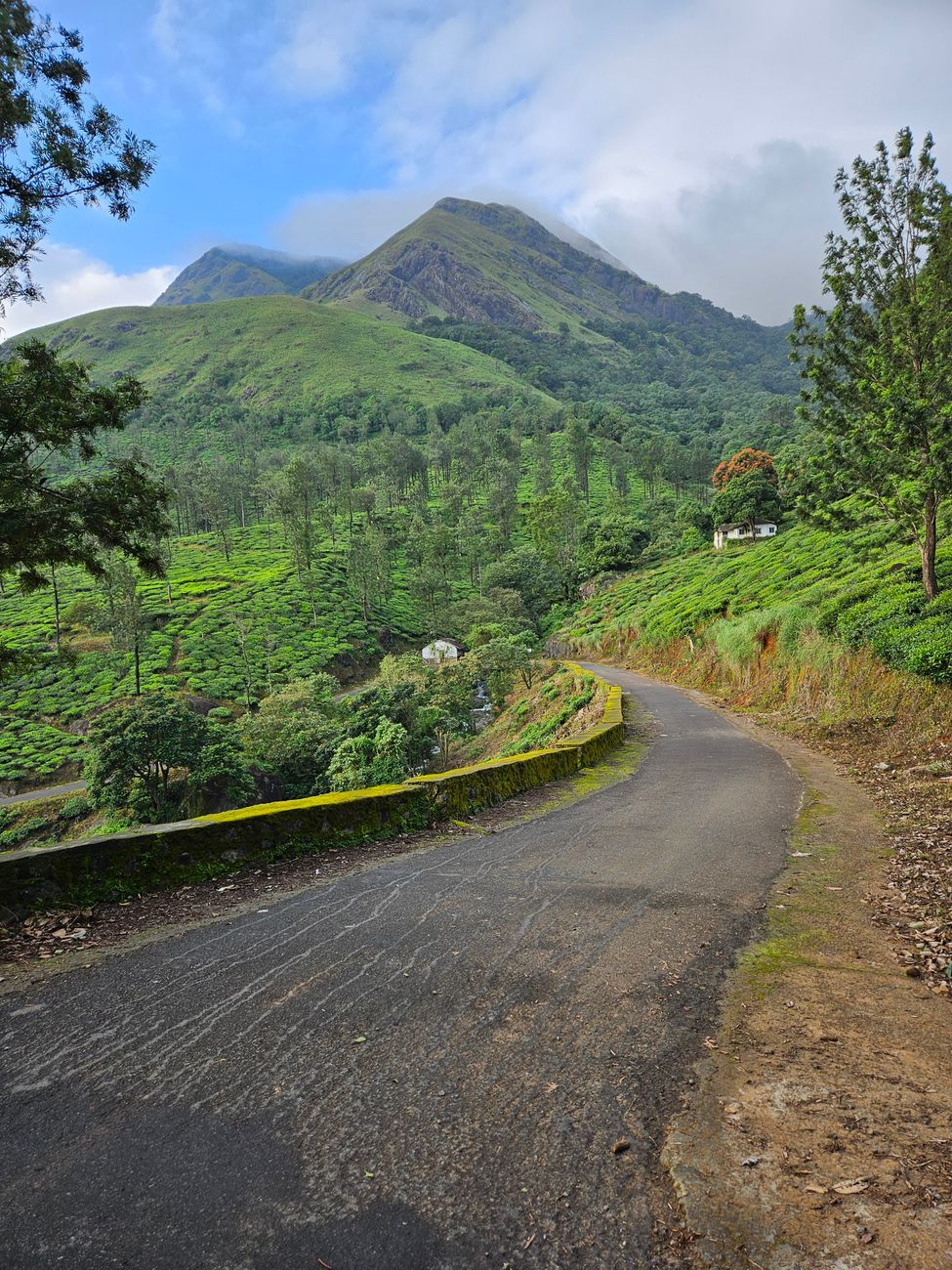 Wayanad in Summer: Is It Worth Visiting in April-May?