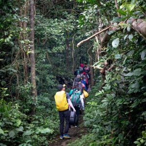 Trekking Gear Checklist for Wayanad Hills