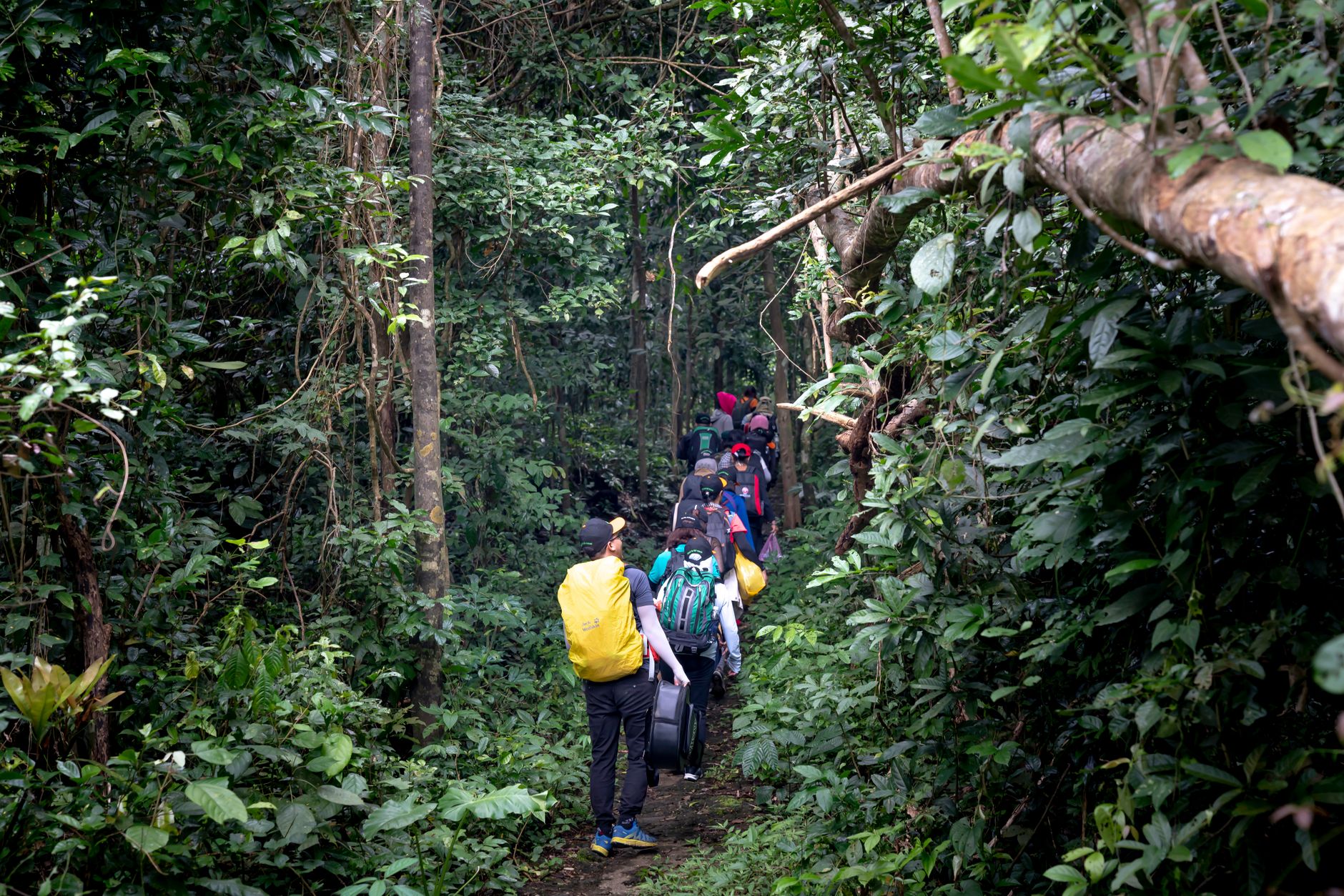 Trekking Gear Checklist for Wayanad Hills
