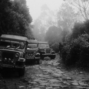 Wayanad Jeep Safari Booking: What You Need to Know Beforehand