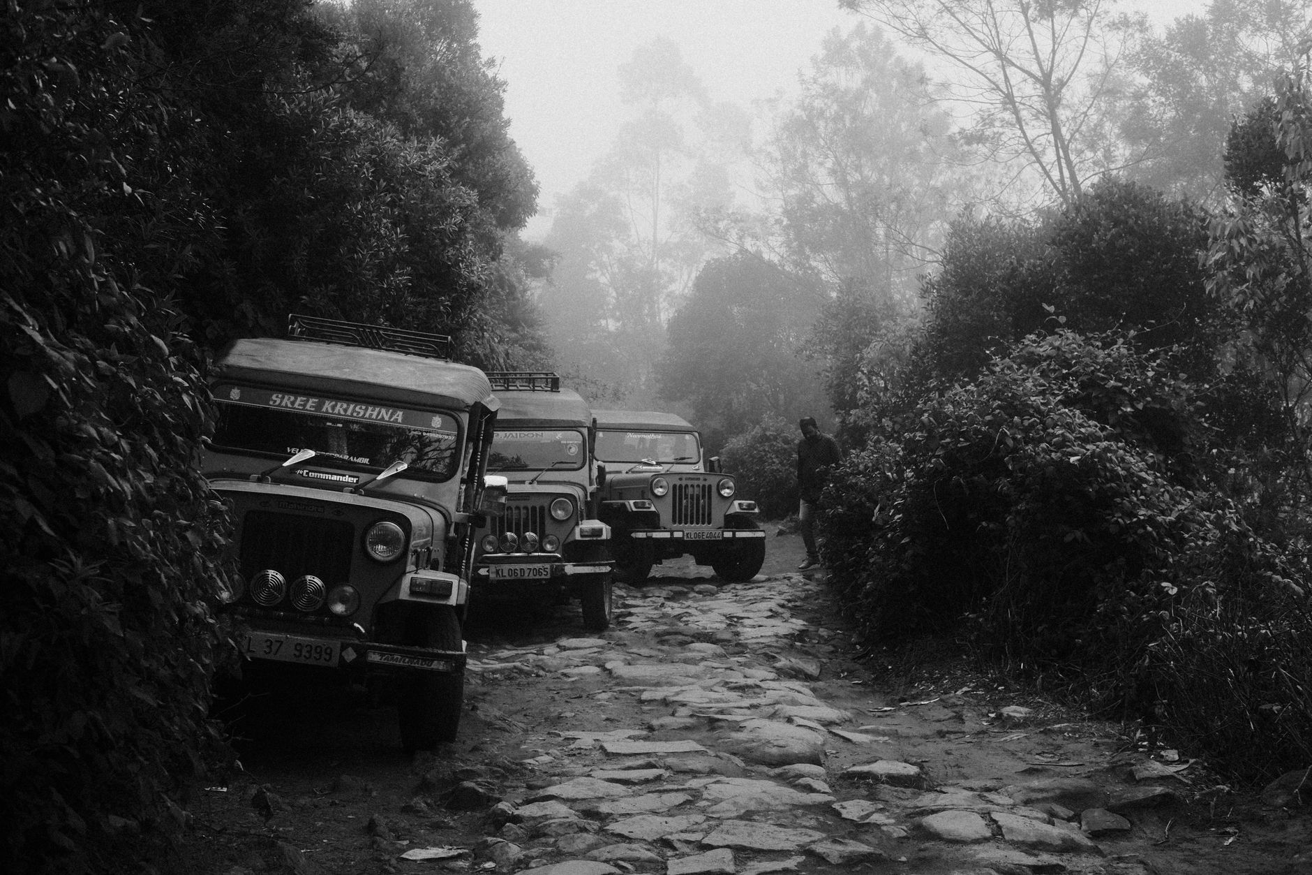 Wayanad Jeep Safari Booking: What You Need to Know Beforehand