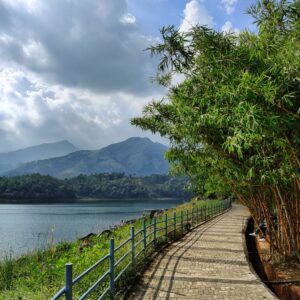 Chembra Peak vs Banasura Peak: Which Trek Should You Choose