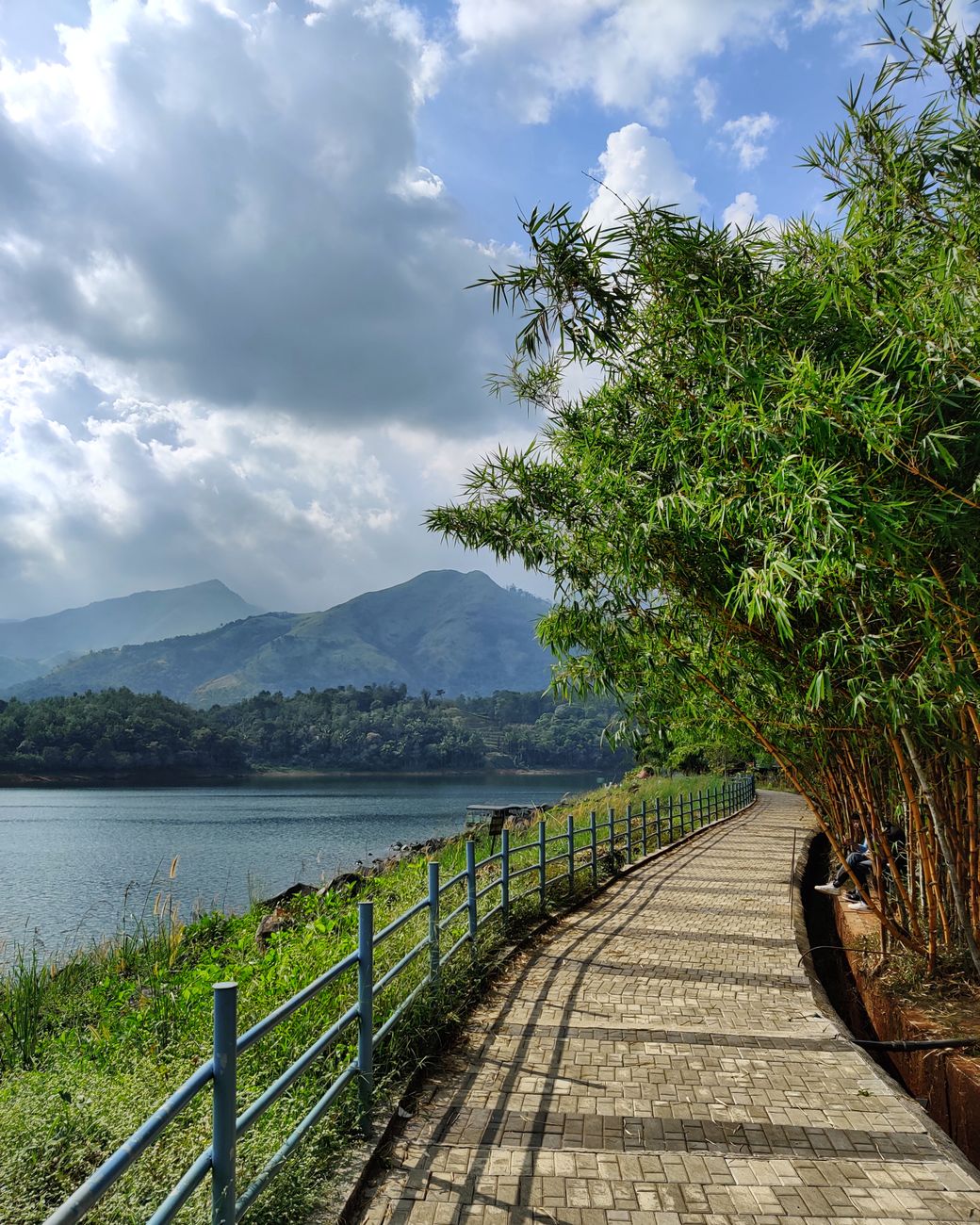Chembra Peak vs Banasura Peak: Which Trek Should You Choose