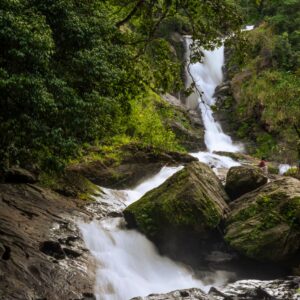 Currency, Cash and Payments: Practical Tips for Wayanad Travel