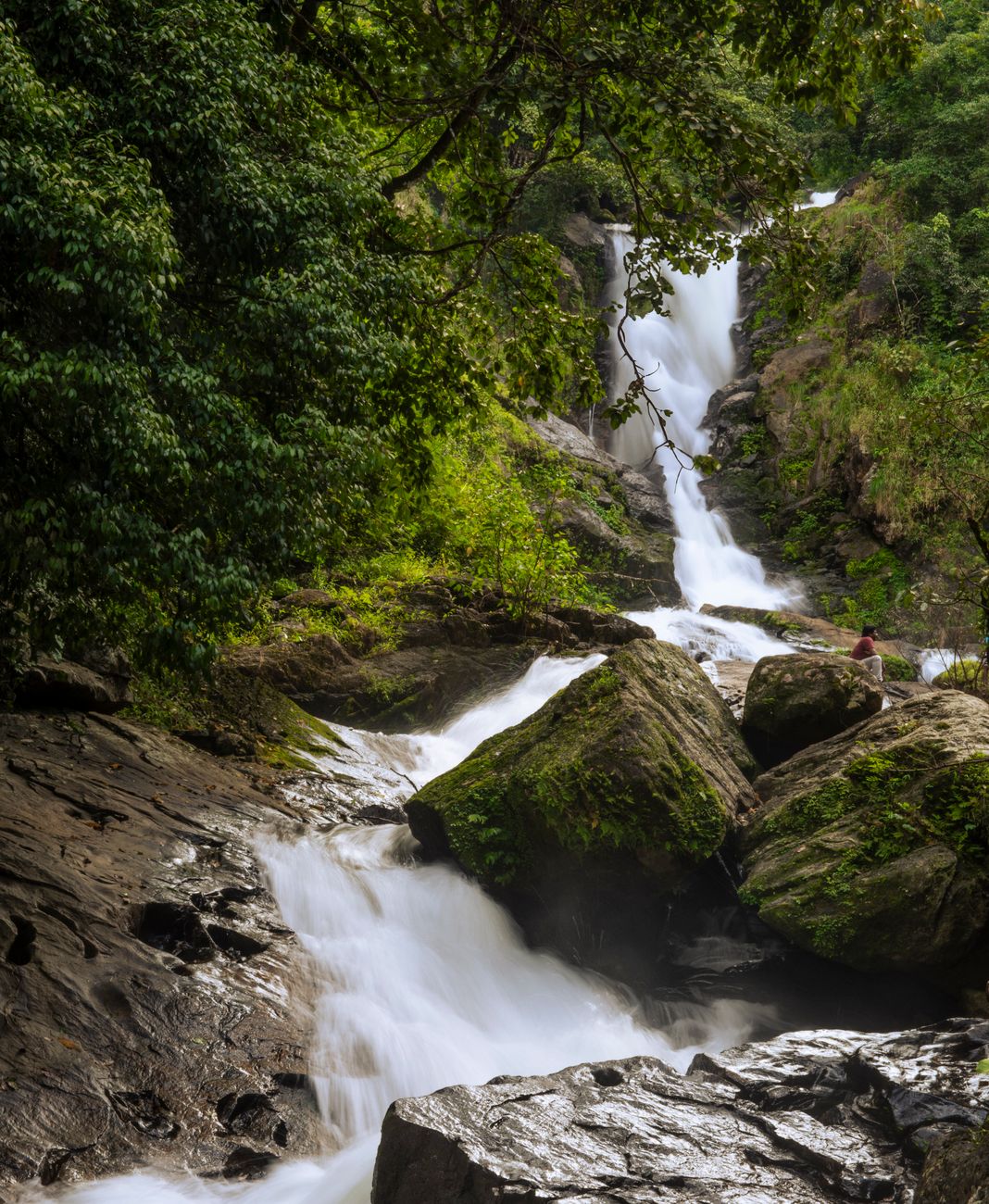 Currency, Cash and Payments: Practical Tips for Wayanad Travel